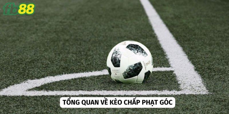 Kèo cược hấp dẫn với những anh em có kinh nghiệm