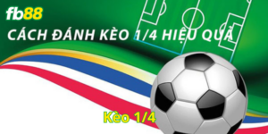 Cách soi Kèo ¼ hiệu quả