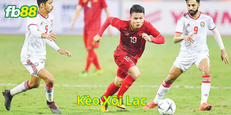 Cách Soi Kèo Xôi Lạc chính xác