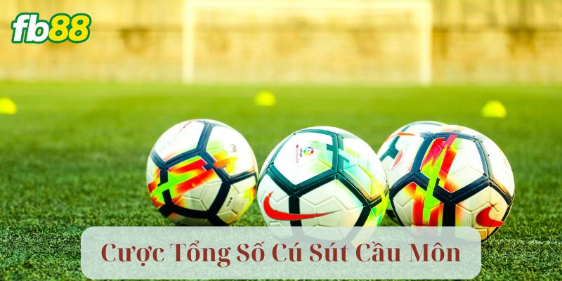 Cách thức hoạt động của Cược Tổng Số Cú Sút Cầu Môn