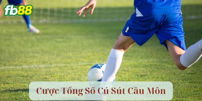 Ví dụ Chiến Thuật Khi Chơi Cược Tổng Số Cú Sút Cầu Môn