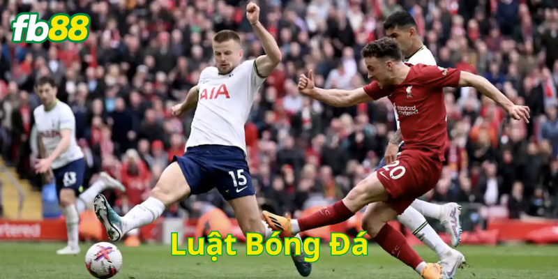 Luật Bóng Đá là gì?