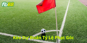 Các loại Kèo Dự Đoán Tỷ Lệ Phạt Góc dễ chơi