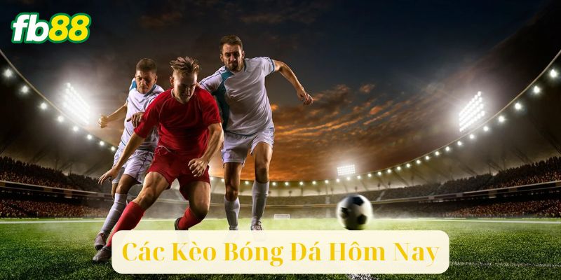 Các Loại Kèo Bóng Đá Phổ Biến