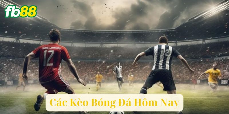 Cách Đọc Và Hiểu Các Kèo Bóng Đá Hôm Nay