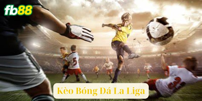 Các Loại Kèo Bóng Đá La Liga