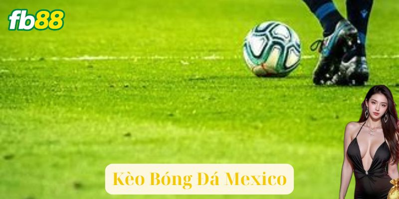 Chiến Thuật Cược Kèo Bóng Đá Mexico