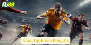 Nhận Định Kèo Bóng Đá: Phân Tích Chi Tiết và Chiến Lược